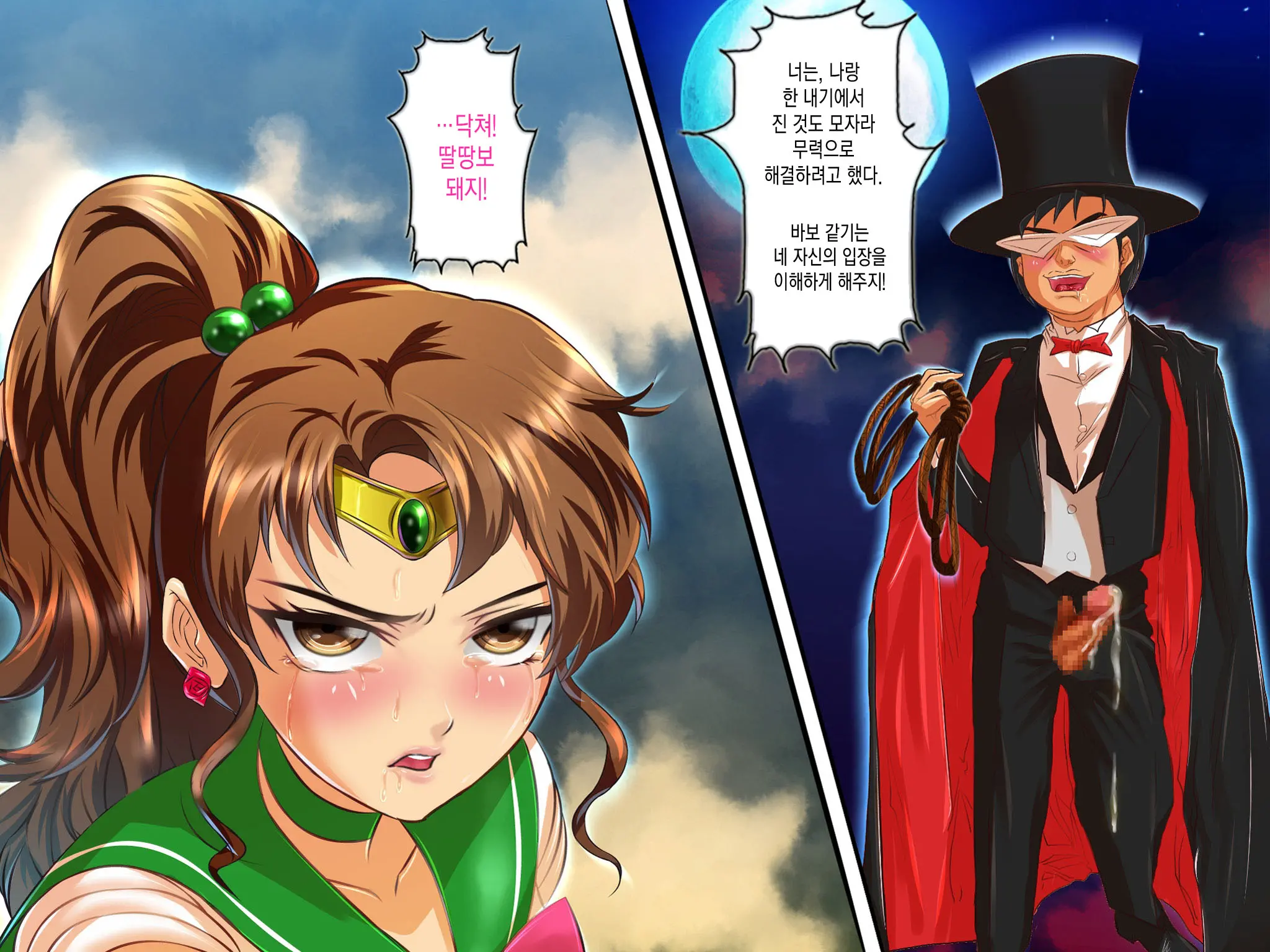 Botebara Senshi Sailor Moon ~Sailor Jupiter Abakareta Seiheki~